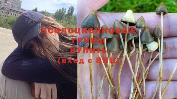 jwh Новодвинск