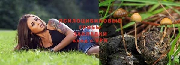 jwh Новодвинск