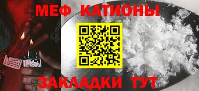прущие грибы Камышлов