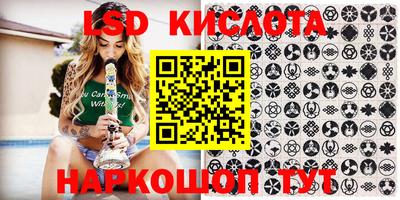 прущие грибы Камышлов
