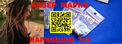 прущие грибы Камышлов
