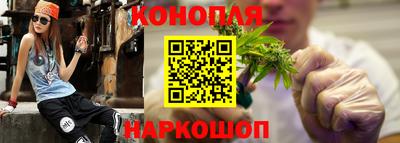 прущие грибы Камышлов