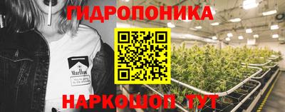 прущие грибы Камышлов