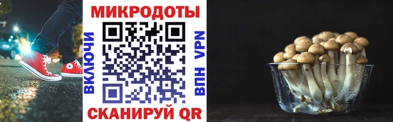 купить  цена  Тула  кракен маркетплейс  Галлюциногенные грибы мухоморы 