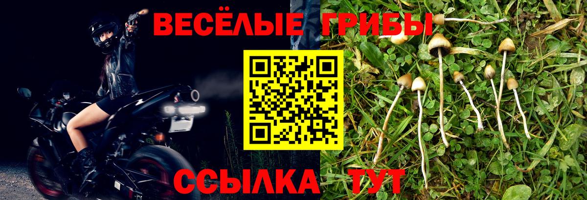 Псилоцибиновые грибы MAGIC MUSHROOMS  Вход с VPN  купить  сайты  Галлюциногенные грибы Cubensis  Тула 